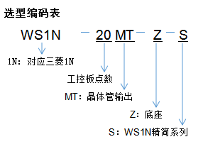  WS1N-20MT-S